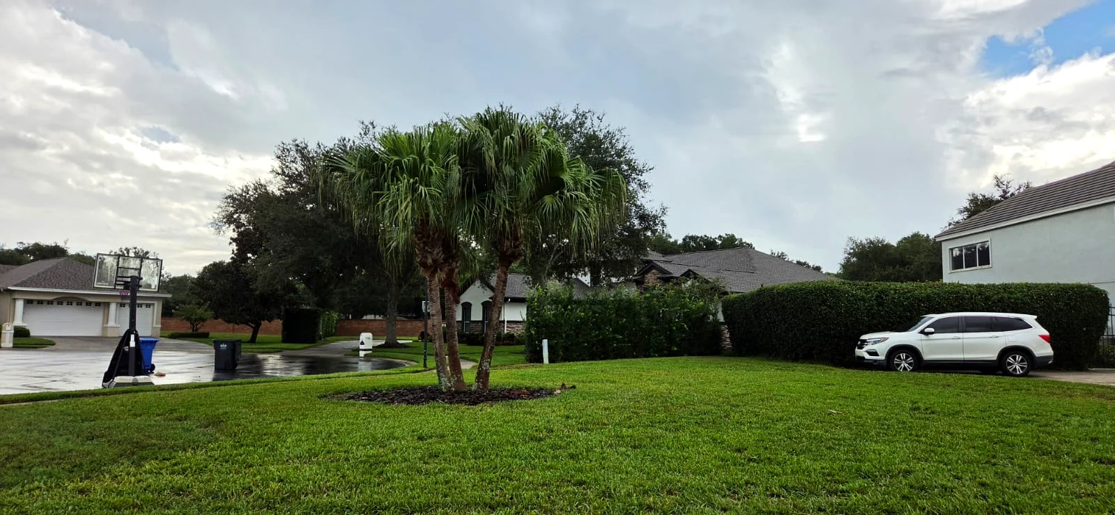 Detailed Lawn & Garden Care by V&G Landscaping of Tampa Bay