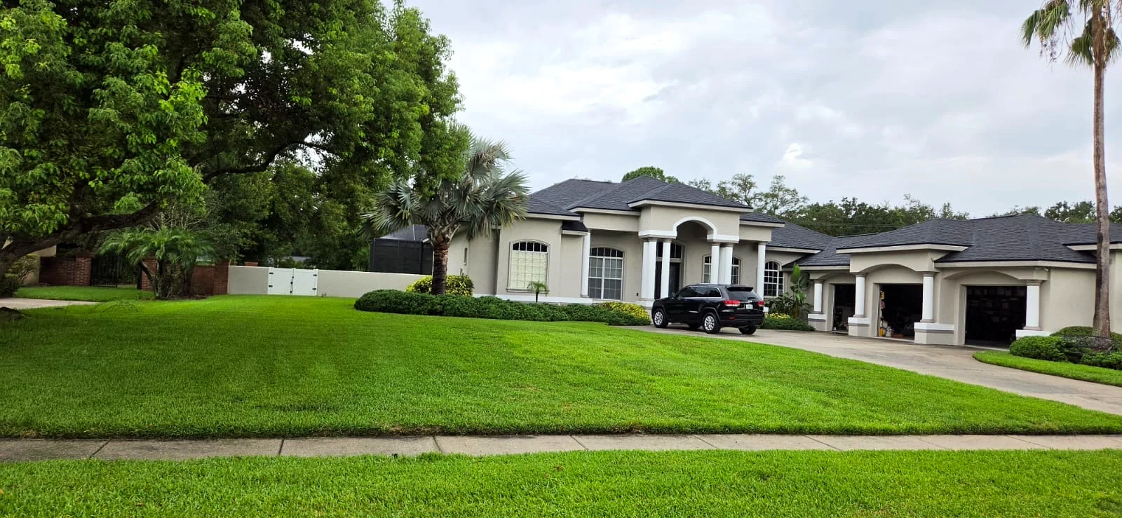Palm & Lawn Maintenance by V&G Landscaping of Tampa Bay