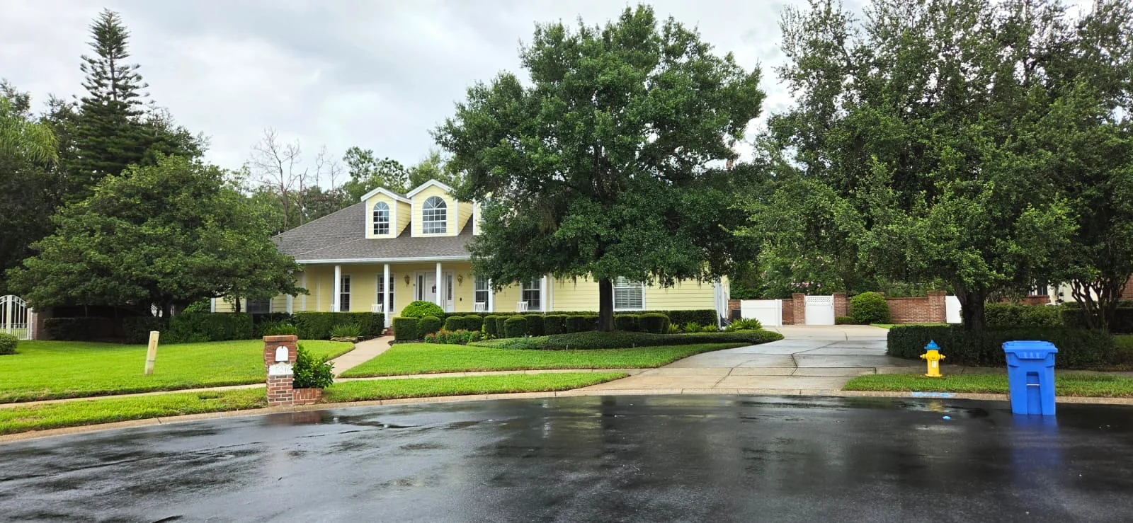Tree, Hedge & Lawn Care by V&G Landscaping of Tampa Bay